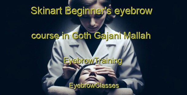 Skinart Beginner's eyebrow course in Goth Gajani Mallah | EyebrowTraining | EyebrowClasses | SkinartTraining-Pakistan