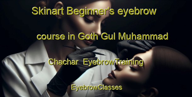 Skinart Beginner's eyebrow course in Goth Gul Muhammad Chachar | EyebrowTraining | EyebrowClasses | SkinartTraining-Pakistan