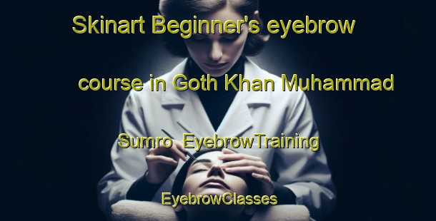 Skinart Beginner's eyebrow course in Goth Khan Muhammad Sumro | EyebrowTraining | EyebrowClasses | SkinartTraining-Pakistan