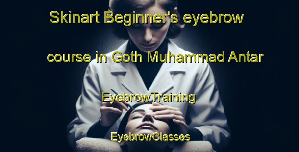 Skinart Beginner's eyebrow course in Goth Muhammad Antar | EyebrowTraining | EyebrowClasses | SkinartTraining-Pakistan