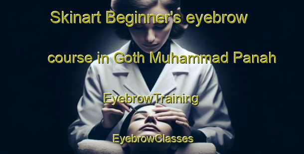 Skinart Beginner's eyebrow course in Goth Muhammad Panah | EyebrowTraining | EyebrowClasses | SkinartTraining-Pakistan