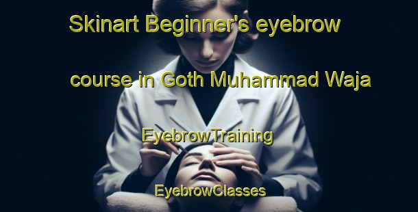 Skinart Beginner's eyebrow course in Goth Muhammad Waja | EyebrowTraining | EyebrowClasses | SkinartTraining-Pakistan