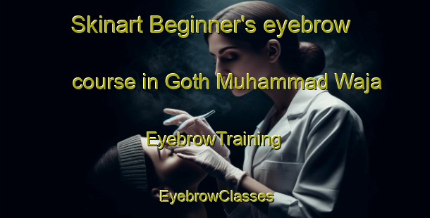 Skinart Beginner's eyebrow course in Goth Muhammad Waja | EyebrowTraining | EyebrowClasses | SkinartTraining-Pakistan