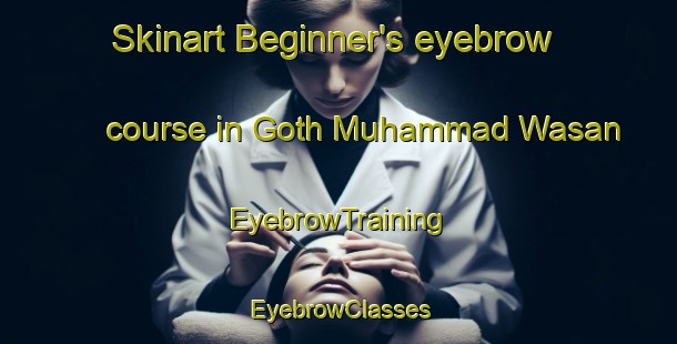 Skinart Beginner's eyebrow course in Goth Muhammad Wasan | EyebrowTraining | EyebrowClasses | SkinartTraining-Pakistan