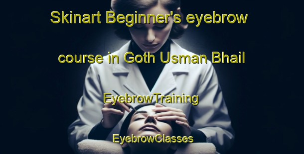 Skinart Beginner's eyebrow course in Goth Usman Bhail | EyebrowTraining | EyebrowClasses | SkinartTraining-Pakistan