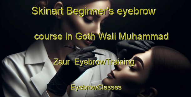 Skinart Beginner's eyebrow course in Goth Wali Muhammad Zaur | EyebrowTraining | EyebrowClasses | SkinartTraining-Pakistan