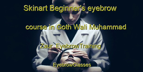 Skinart Beginner's eyebrow course in Goth Wali Muhammad Zaur | EyebrowTraining | EyebrowClasses | SkinartTraining-Pakistan