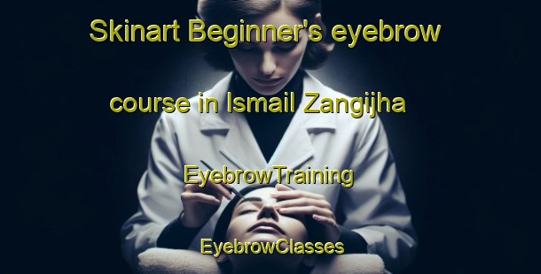Skinart Beginner's eyebrow course in Ismail Zangijha | EyebrowTraining | EyebrowClasses | SkinartTraining-Pakistan