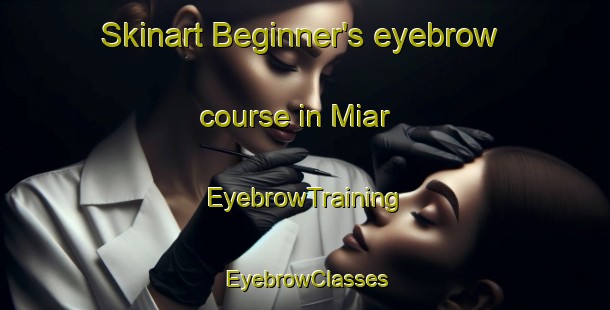 Skinart Beginner's eyebrow course in Miar | EyebrowTraining | EyebrowClasses | SkinartTraining-Pakistan