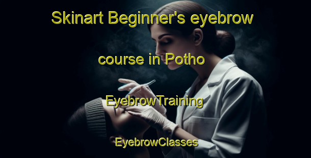 Skinart Beginner's eyebrow course in Potho | EyebrowTraining | EyebrowClasses | SkinartTraining-Pakistan