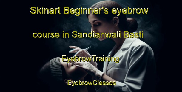 Skinart Beginner's eyebrow course in Sandianwali Basti | EyebrowTraining | EyebrowClasses | SkinartTraining-Pakistan