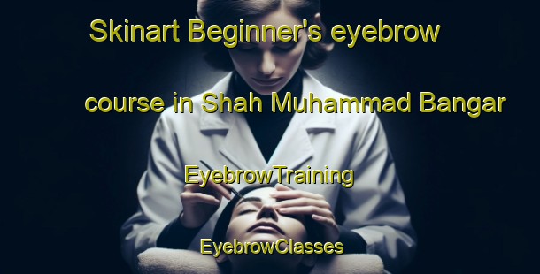 Skinart Beginner's eyebrow course in Shah Muhammad Bangar | EyebrowTraining | EyebrowClasses | SkinartTraining-Pakistan