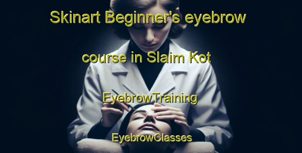 Skinart Beginner's eyebrow course in Slaim Kot | EyebrowTraining | EyebrowClasses | SkinartTraining-Pakistan