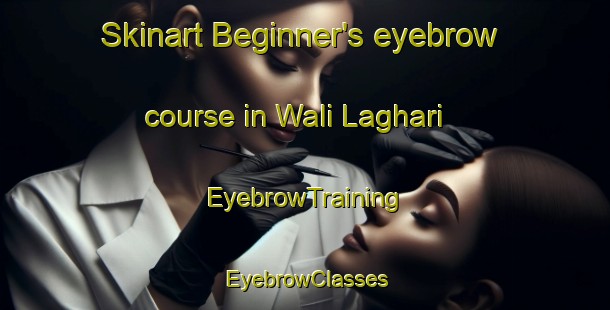 Skinart Beginner's eyebrow course in Wali Laghari | EyebrowTraining | EyebrowClasses | SkinartTraining-Pakistan
