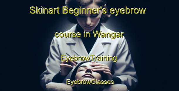 Skinart Beginner's eyebrow course in Wangar | EyebrowTraining | EyebrowClasses | SkinartTraining-Pakistan