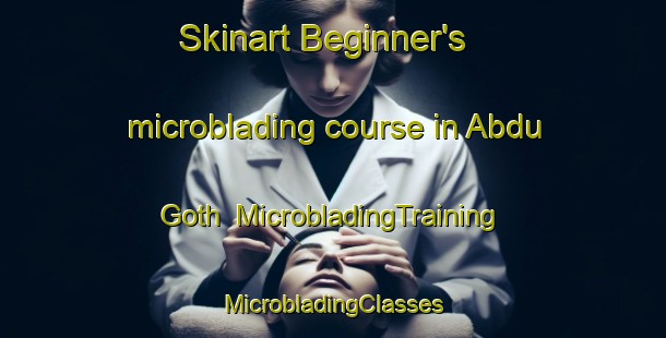 Skinart Beginner's microblading course in Abdu Goth | #MicrobladingTraining #MicrobladingClasses #SkinartTraining-Pakistan