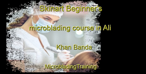 Skinart Beginner's microblading course in Ali Khan Banda | MicrobladingTraining | MicrobladingClasses | SkinartTraining-Pakistan