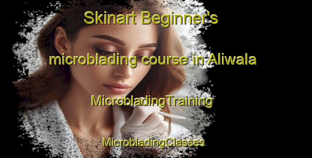 Skinart Beginner's microblading course in Aliwala | MicrobladingTraining | MicrobladingClasses | SkinartTraining-Pakistan