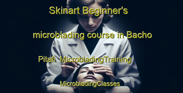 Skinart Beginner's microblading course in Bacho Pitafi | MicrobladingTraining | MicrobladingClasses | SkinartTraining-Pakistan