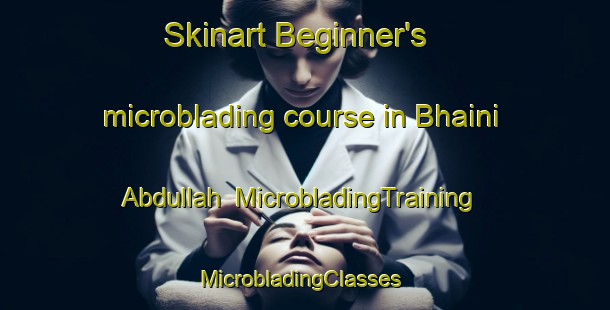 Skinart Beginner's microblading course in Bhaini Abdullah | MicrobladingTraining | MicrobladingClasses | SkinartTraining-Pakistan