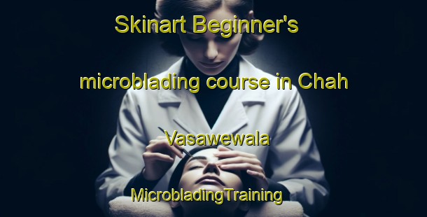 Skinart Beginner's microblading course in Chah Vasawewala | MicrobladingTraining | MicrobladingClasses | SkinartTraining-Pakistan