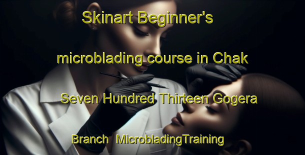 Skinart Beginner's microblading course in Chak Seven Hundred Thirteen Gogera Branch | MicrobladingTraining | MicrobladingClasses | SkinartTraining-Pakistan