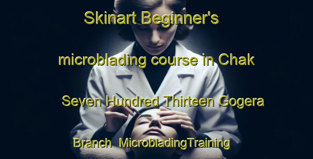 Skinart Beginner's microblading course in Chak Seven Hundred Thirteen Gogera Branch | MicrobladingTraining | MicrobladingClasses | SkinartTraining-Pakistan