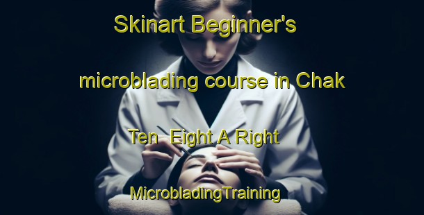 Skinart Beginner's microblading course in Chak Ten  Eight A Right | MicrobladingTraining | MicrobladingClasses | SkinartTraining-Pakistan