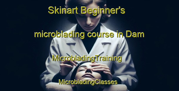 Skinart Beginner's microblading course in Dam | MicrobladingTraining | MicrobladingClasses | SkinartTraining-Pakistan