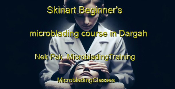 Skinart Beginner's microblading course in Dargah Nek Pak | MicrobladingTraining | MicrobladingClasses | SkinartTraining-Pakistan