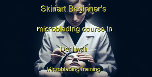 Skinart Beginner's microblading course in Dehliwali | MicrobladingTraining | MicrobladingClasses | SkinartTraining-Pakistan