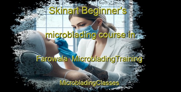 Skinart Beginner's microblading course in Farowala | MicrobladingTraining | MicrobladingClasses | SkinartTraining-Pakistan