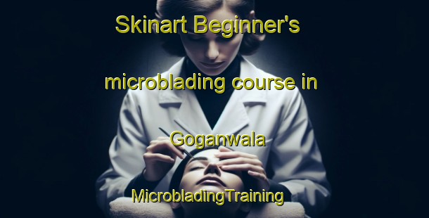 Skinart Beginner's microblading course in Goganwala | MicrobladingTraining | MicrobladingClasses | SkinartTraining-Pakistan