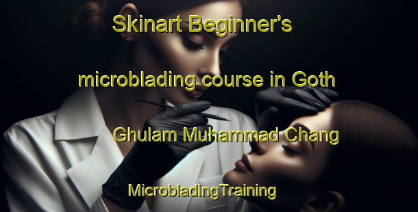 Skinart Beginner's microblading course in Goth Ghulam Muhammad Chang | MicrobladingTraining | MicrobladingClasses | SkinartTraining-Pakistan