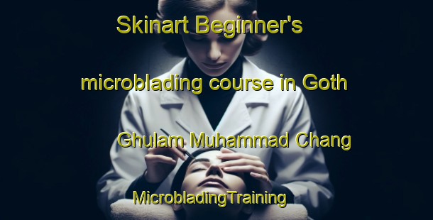Skinart Beginner's microblading course in Goth Ghulam Muhammad Chang | MicrobladingTraining | MicrobladingClasses | SkinartTraining-Pakistan