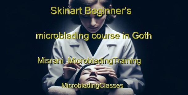 Skinart Beginner's microblading course in Goth Misrani | MicrobladingTraining | MicrobladingClasses | SkinartTraining-Pakistan