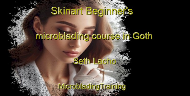 Skinart Beginner's microblading course in Goth Seth Lacho | MicrobladingTraining | MicrobladingClasses | SkinartTraining-Pakistan
