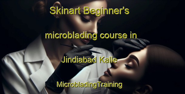 Skinart Beginner's microblading course in Jindiabad Kalle | MicrobladingTraining | MicrobladingClasses | SkinartTraining-Pakistan