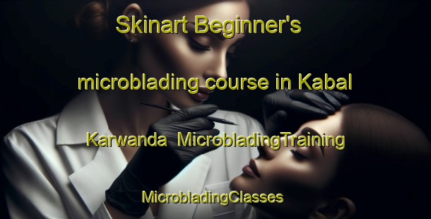 Skinart Beginner's microblading course in Kabal Karwanda | MicrobladingTraining | MicrobladingClasses | SkinartTraining-Pakistan