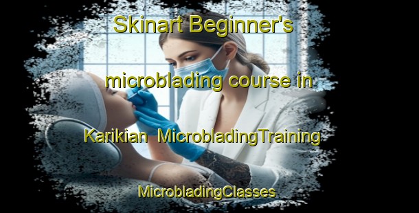 Skinart Beginner's microblading course in Karikian | MicrobladingTraining | MicrobladingClasses | SkinartTraining-Pakistan