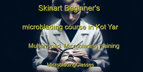 Skinart Beginner's microblading course in Kot Yar Muhammad | MicrobladingTraining | MicrobladingClasses | SkinartTraining-Pakistan