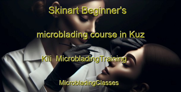 Skinart Beginner's microblading course in Kuz Kili | MicrobladingTraining | MicrobladingClasses | SkinartTraining-Pakistan