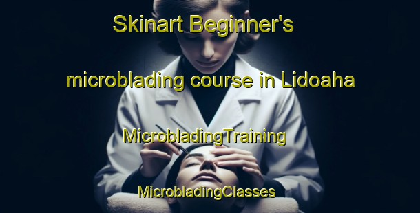 Skinart Beginner's microblading course in Lidoaha | MicrobladingTraining | MicrobladingClasses | SkinartTraining-Pakistan