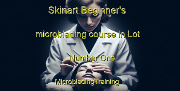 Skinart Beginner's microblading course in Lot Number One | MicrobladingTraining | MicrobladingClasses | SkinartTraining-Pakistan