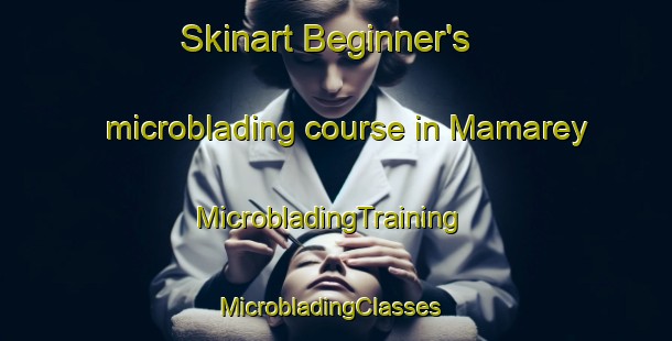 Skinart Beginner's microblading course in Mamarey | MicrobladingTraining | MicrobladingClasses | SkinartTraining-Pakistan