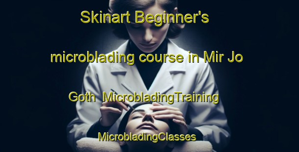 Skinart Beginner's microblading course in Mir Jo Goth | MicrobladingTraining | MicrobladingClasses | SkinartTraining-Pakistan