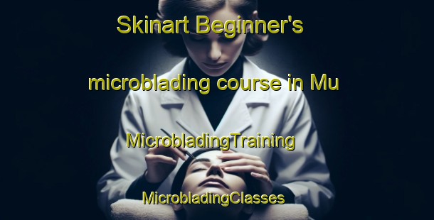Skinart Beginner's microblading course in Mu | MicrobladingTraining | MicrobladingClasses | SkinartTraining-Pakistan