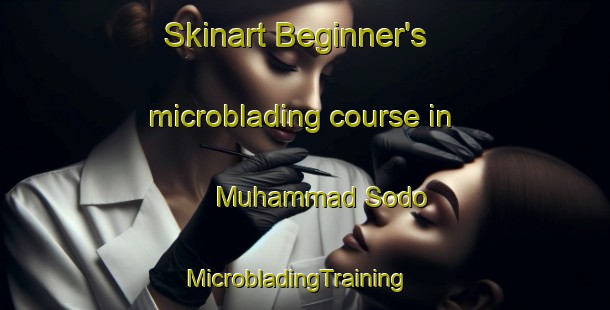 Skinart Beginner's microblading course in Muhammad Sodo | MicrobladingTraining | MicrobladingClasses | SkinartTraining-Pakistan