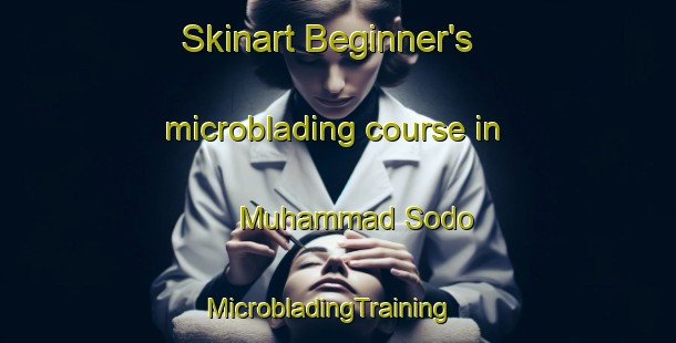 Skinart Beginner's microblading course in Muhammad Sodo | MicrobladingTraining | MicrobladingClasses | SkinartTraining-Pakistan