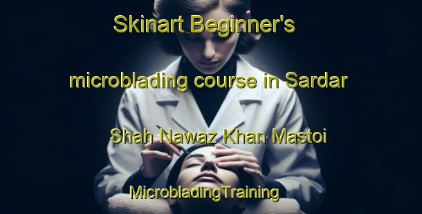 Skinart Beginner's microblading course in Sardar Shah Nawaz Khan Mastoi | MicrobladingTraining | MicrobladingClasses | SkinartTraining-Pakistan
